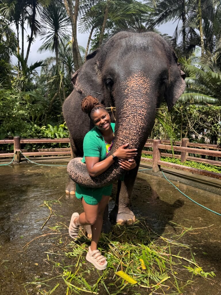 bali 7